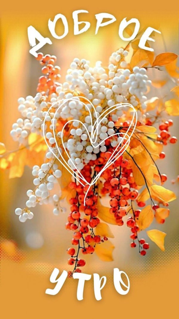 добрейшего осеннего утра