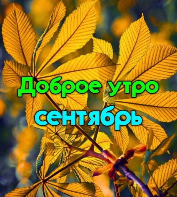 доброго октябрьского утра