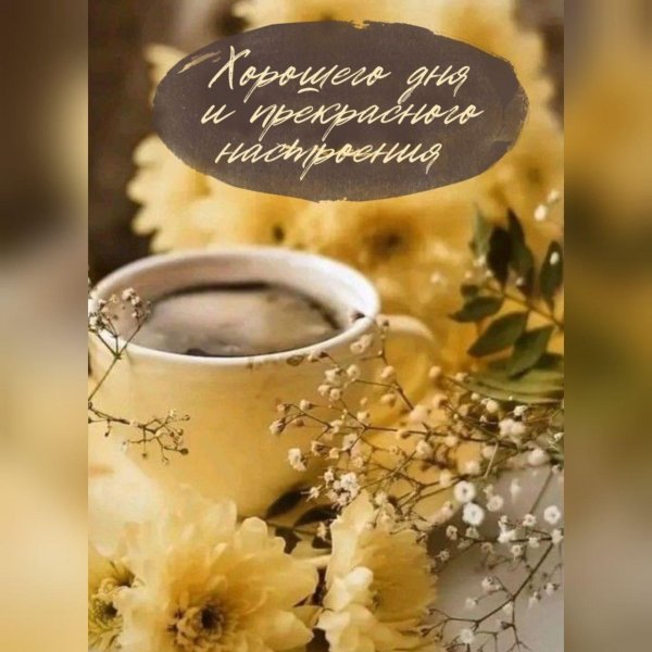 доброе утро и отличного дня и настроения