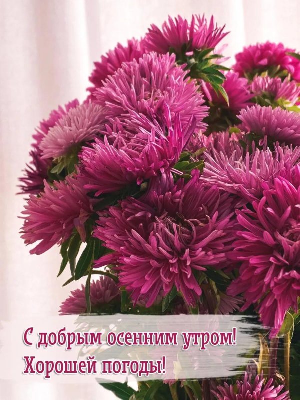 с добрым осеннем утром