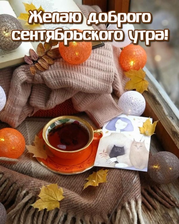 доброго сентябрьского утра