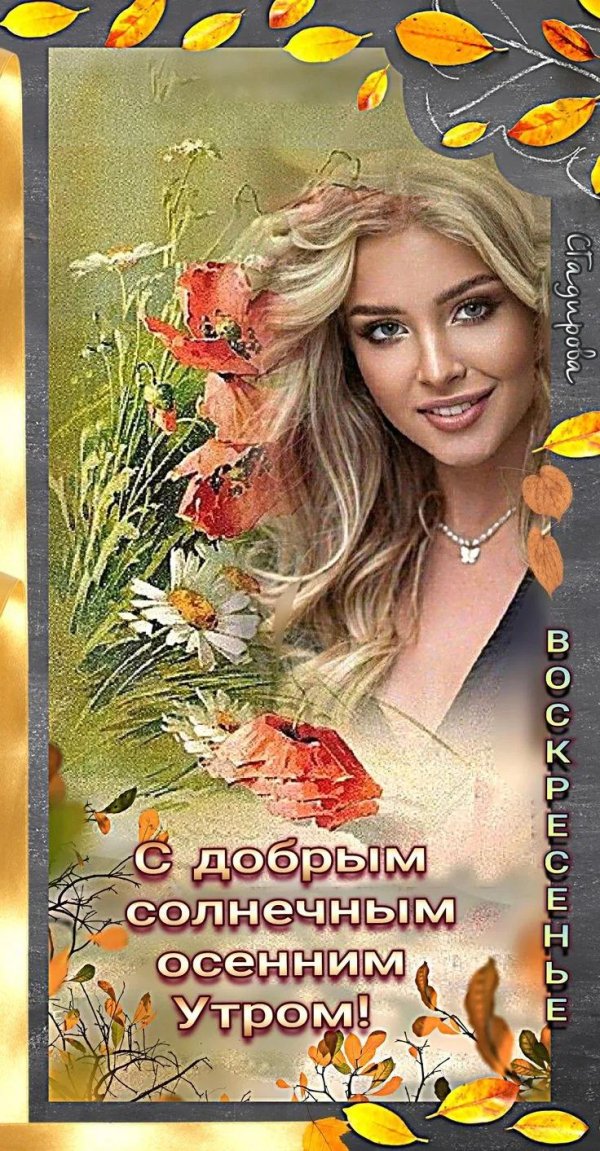 красивое осеннее доброе утро