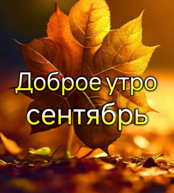 доброго утра сентябрь
