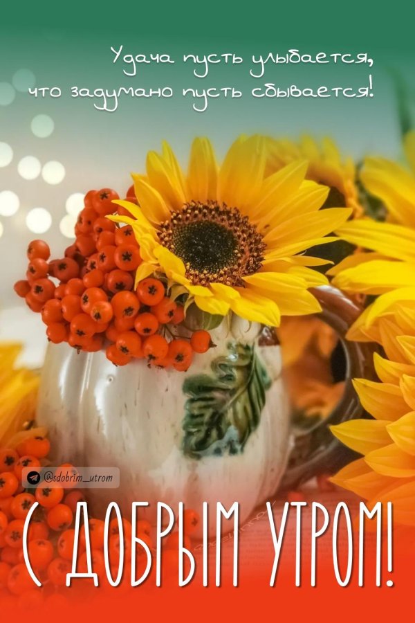 доброе утро осень пожелания