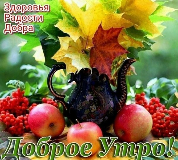 добрейшего осеннего утра
