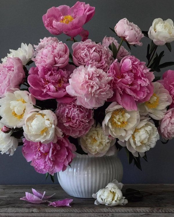 цветочные композиции с пионами