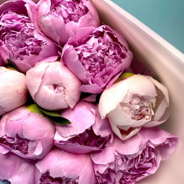 сборный букет с пионами