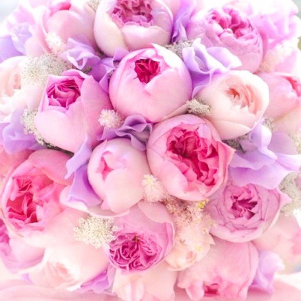 букетище пионов