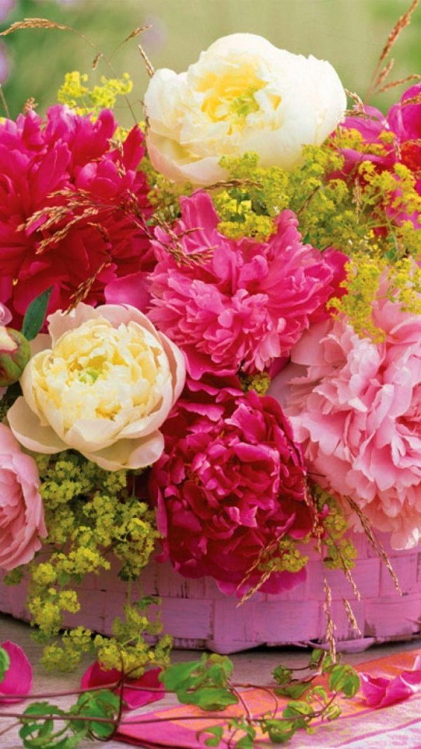 пиона букет