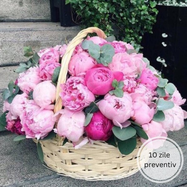 корзинка пионов