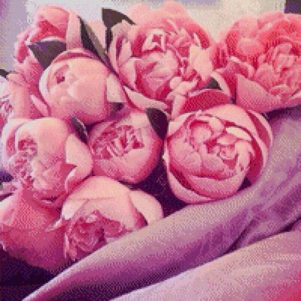 цветок пион