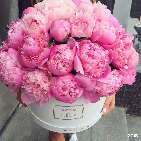 коробка с пионами