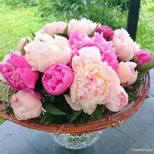 корзинка пионов