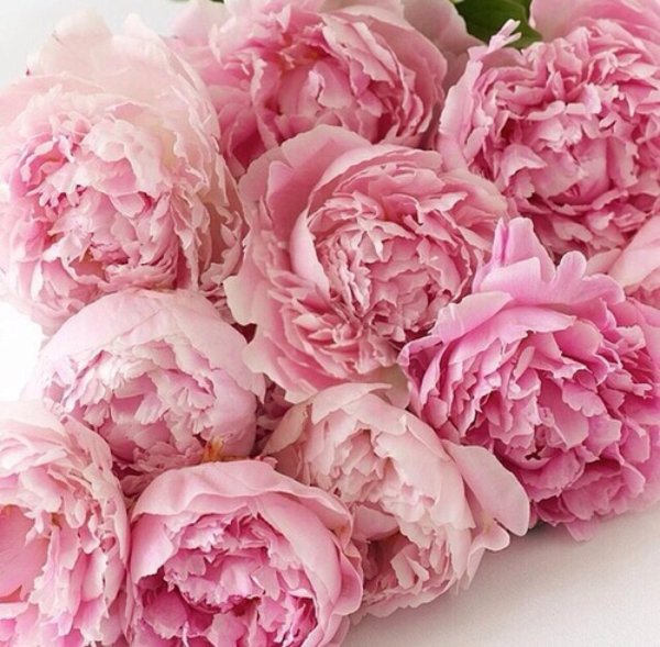 открытка с пионами