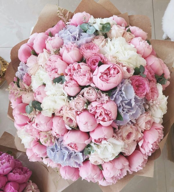 букетище пионов