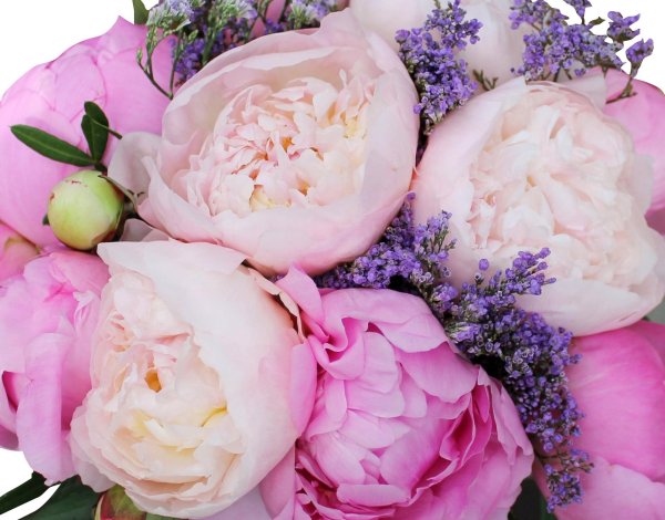 пион селебрейшен