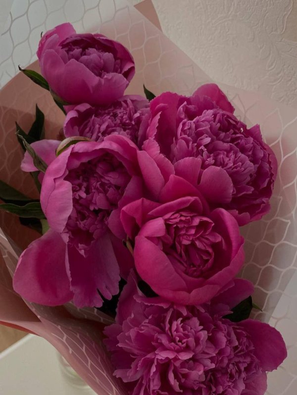 красивые букеты пионов