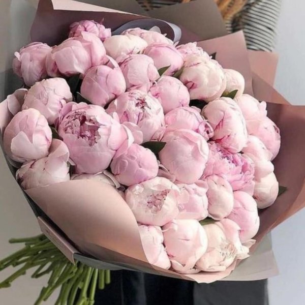 букет цветов пионов