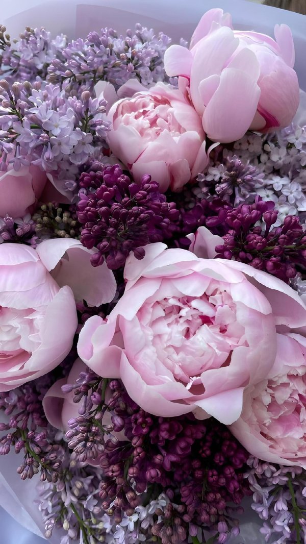 красивые букеты с пионами