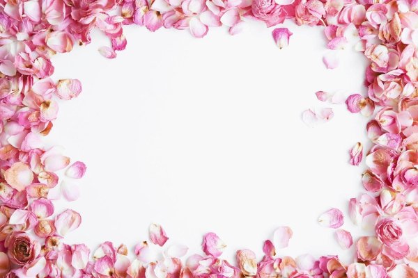 рамка из лепестков