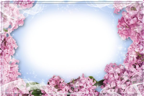 рамка сирень