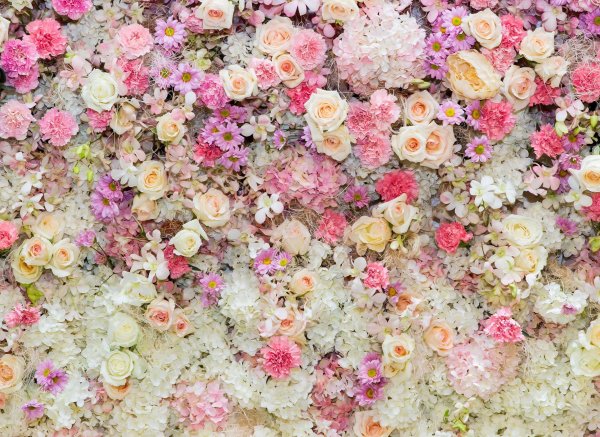 цветочная стена