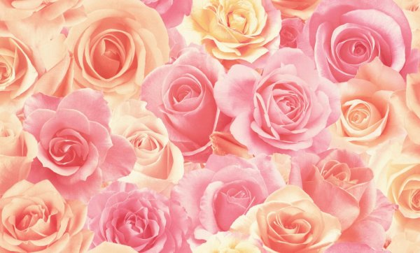 Для фотошопа с цветами