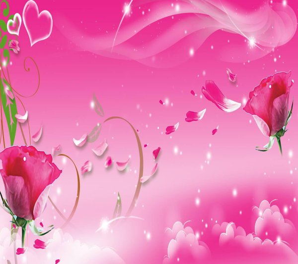 цветочные фоны