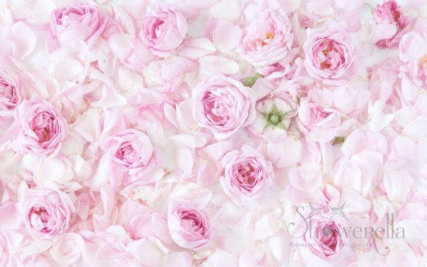 цветочные фоны