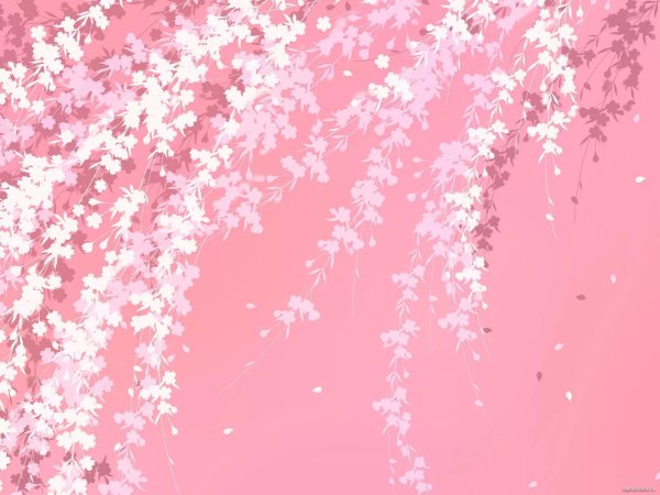 красивые розовые фоны