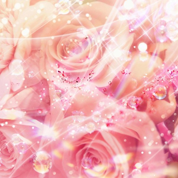 цветочные фоны