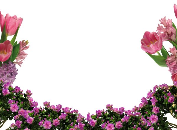 цветок рамка