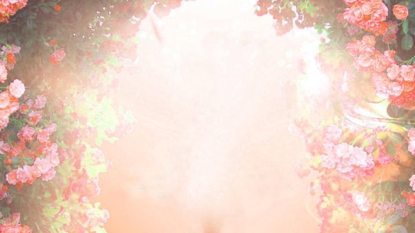 цветочные фоны