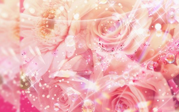 цветочные фоны