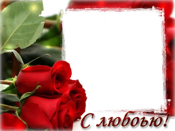 рамка розы