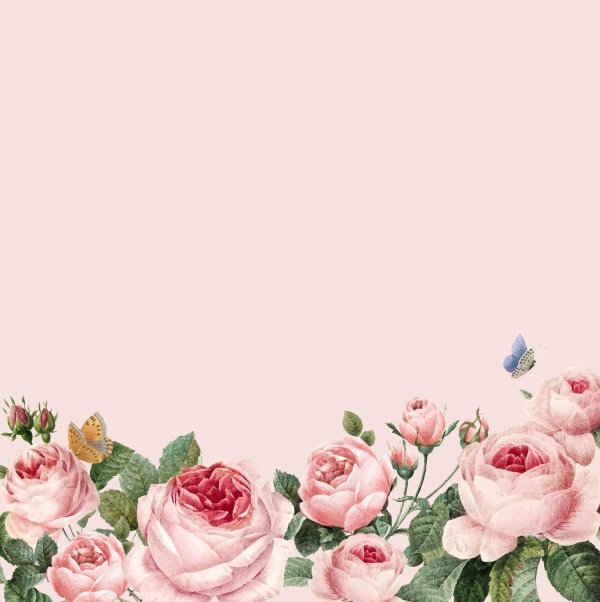 цветочные фоны для открыток