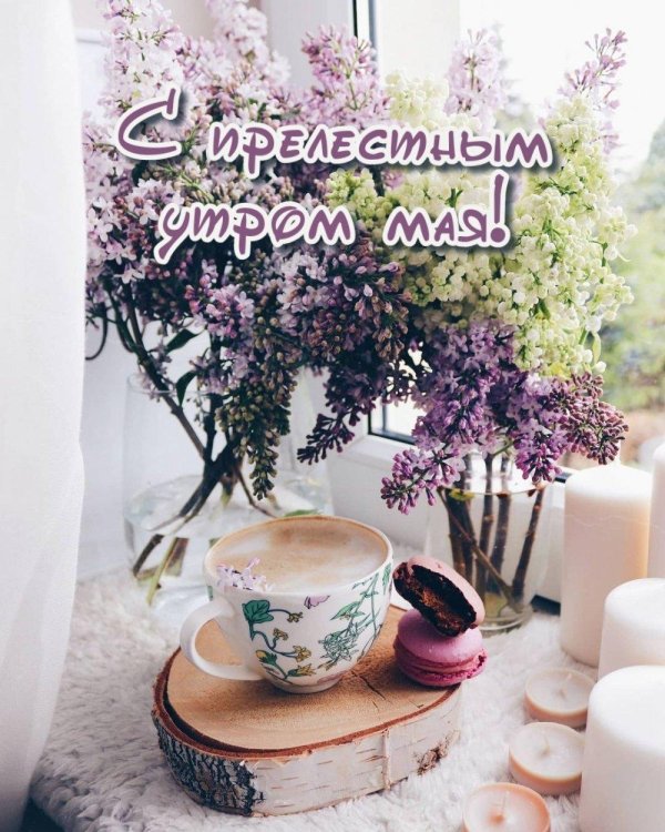 прелестного утра