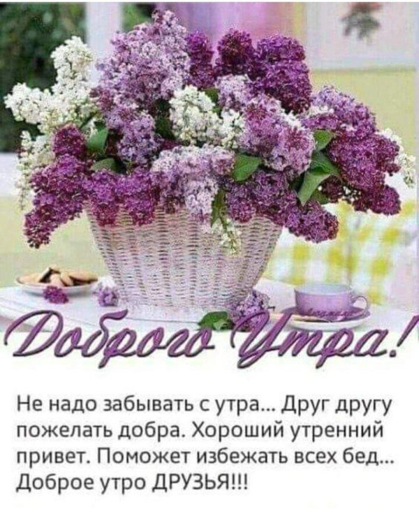 букет сирени