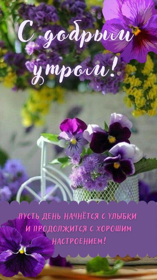 хорошего доброго утра