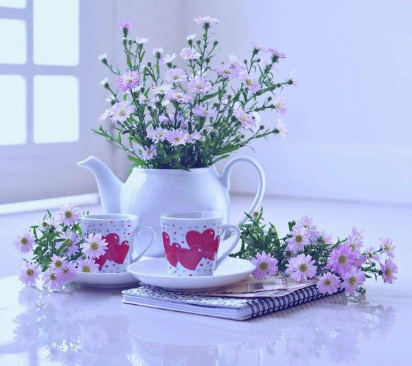 утренние цветы