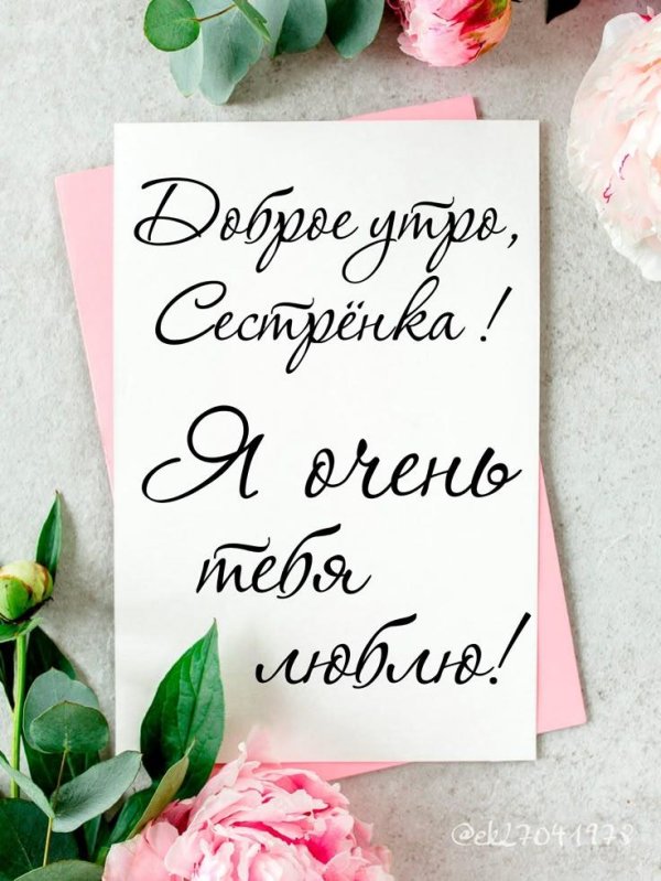 Хорошего дня сестренка