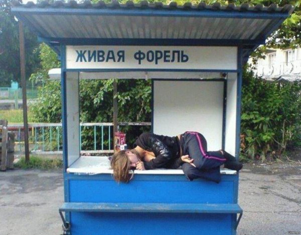 живая форель прикол