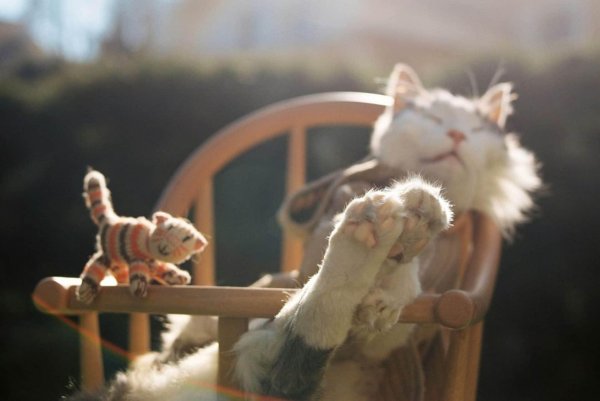 жизнь хороша