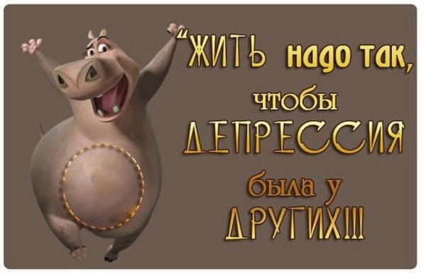 глория из мадагаскар