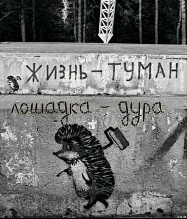 разочарован жизнью еж