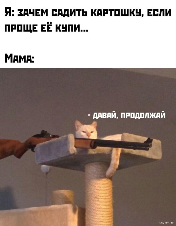 мемы с надписями смешные