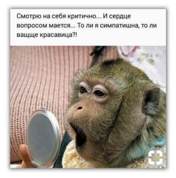 обезьяна смешна