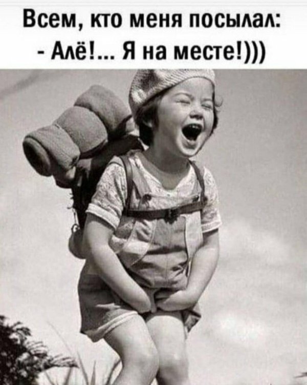 цитаты веселые