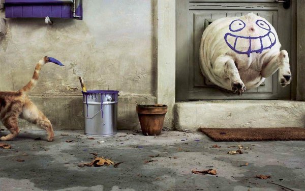 реклама смешная