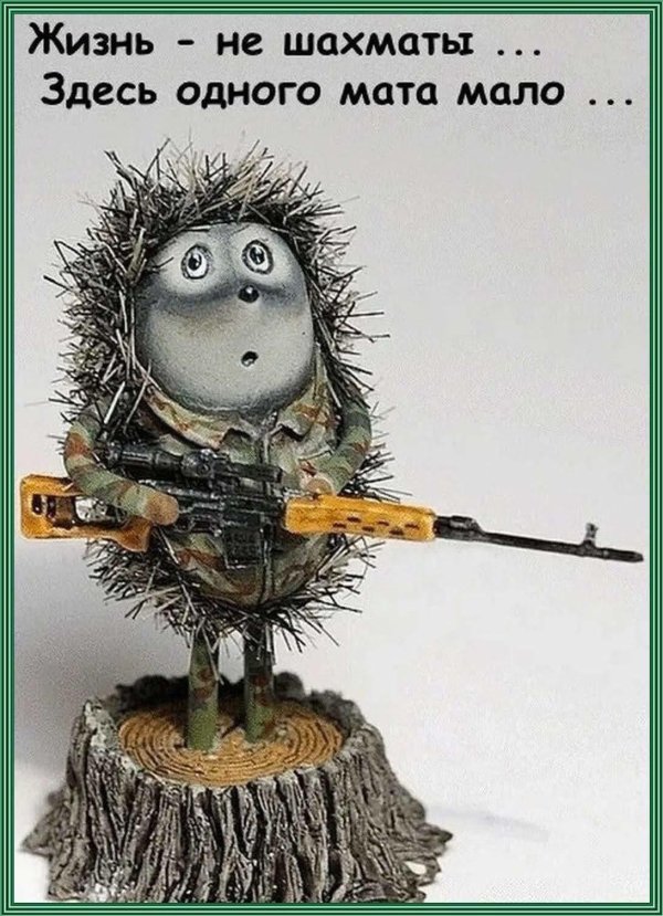 боевой ежик